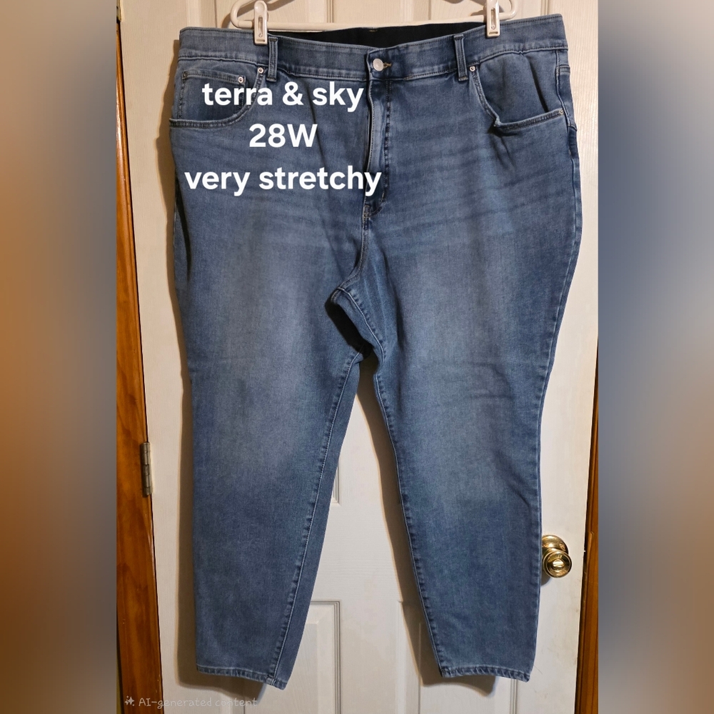 Terra & Sky Mid Blue Stretch Jeggings - 28W